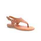 081-18217-Camel1_1-1