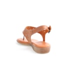 081-18217-Camel4_1-4