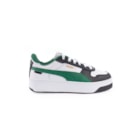 085E-389390-06-BR--VERDE2_1-2