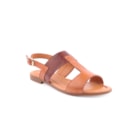 082-790-PL-Camel1_1-1