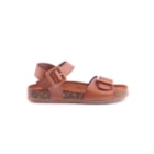 071-JU305-Camel2_1-2