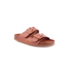 071-JU306-Camel1_1-1
