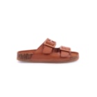 071-JU306-Camel2_1-2