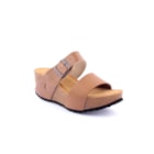 294-PR2065-Camel1_1-1