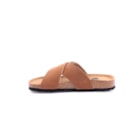 294-PR2068-Camel3_1-3