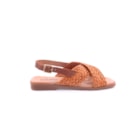 081-J316-Camel2_1-2
