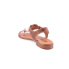 228-23230-Camel4_1-4
