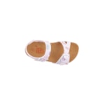 087A-2558-Br-Multi6_1-6