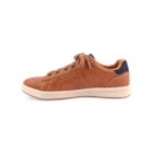 292A-210946-Camel3_1-3