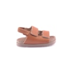 254-2636103-24995-Camel2_1-2