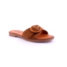 081-N662-C-Camel1_1-1