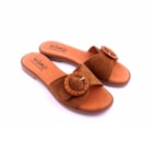 081-N662-C-Camel2_1-2