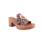 082-1622-LEO-Leopardo1_1-1