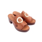082-1622-PE-Camel3_1-3