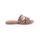 082-1623-FLEO-Leopardo2_1-2