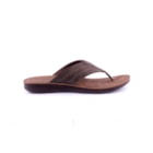 087-6016-Castanho2_1-2