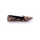 254-5109712-27783-Leopardo2_1-2