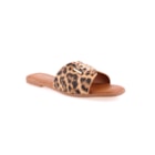 071-SN08-Leopardo1_1-1