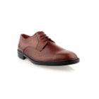 045-135-0239-Castanho1_1-1