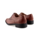 045-135-0239-Castanho5_1-5