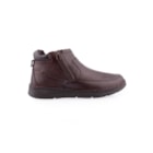 071-TJ24-Castanho2_1-2