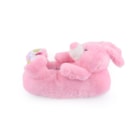 007-IS-16-005-Rosa2_1-2