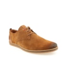 160-6338-C-Camel1_1-1