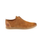 160-6338-C-Camel2_1-2