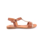 082-744-DP-Camel2_1-2