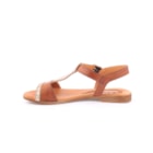082-744-DP-Camel3_1-3