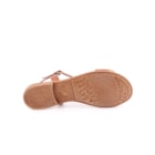 082-744-DP-Camel5_1-5