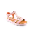 082-716-Rosa1_1-1