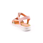 082-716-Rosa4_1-4