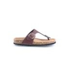 294-PR1051-G-Castanho2_1-2