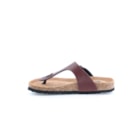 294-PR1051-G-Castanho3_1-3
