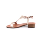 284-9426-Dourado3_1-3