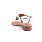 284-9426-Dourado4_1-4