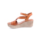 082-747-Camel3_1-3