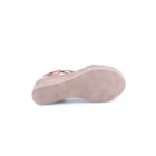 082-747-Camel5_1-5