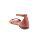 081-19104-Camel4_1-4