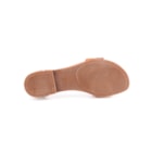 081-19104-Camel5_1-5