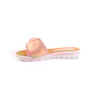 082-739-Rosa3_1-3