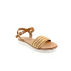 252Y-9038-Camel1_1-1
