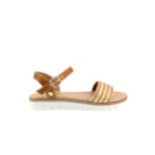 252Y-9038-Camel2_1-2