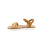 252Y-9038-Camel3_1-3