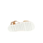 252Y-9038-Camel5_1-5