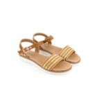 252Y-9038-Camel7_1-7