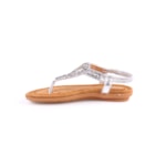 051-V1133-Prateado3_1-3