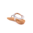 051-V1133-Prateado4_1-4