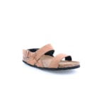 294-PR1049-Camel1_1-1